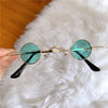 Classic Small Round Sunglasses For Men and Women-SunglassesCraft