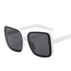 Oversized Vintage Brand Sunglasses For Unisex-SunglassesCraft