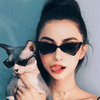 2019 New Fashion Cute Sexy Ladies Cat Eye Sunglasses For Women-SunglassesCraft