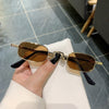 Vintage Small Frame Fashion Sunglasses For Unisex-SunglassesCraft