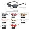 Stylish Small Frame Vintage Cat Eye Sunglasses For Women-SunglassesCraft