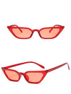 Trendy Cat Eye Fashion Sunglasses For Unisex-SunglassesCraft