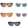 2021 Trending Cat Eye Vintage Fashion Sunglasses For Men And Women-SunglassesCraft