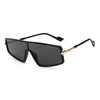 2020 Trendy Cat Eye Style Sunglasses For Unisex-SunglassesCraft