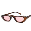 2021 Narrow Small Cat Eye Frame Sunglasses For Unisex-SunglassesCraft