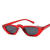 2021 Narrow Small Cat Eye Frame Sunglasses For Unisex-SunglassesCraft