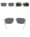 Alloy Steampunk Vintage Small Rimless Shades Ocean Lens Rectangle Sunglasses-SunglassesCraft