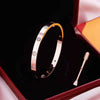 Beautiful Stainless Steel Simple Zirconia Bracelet For Men And Women-SunglassesCraft